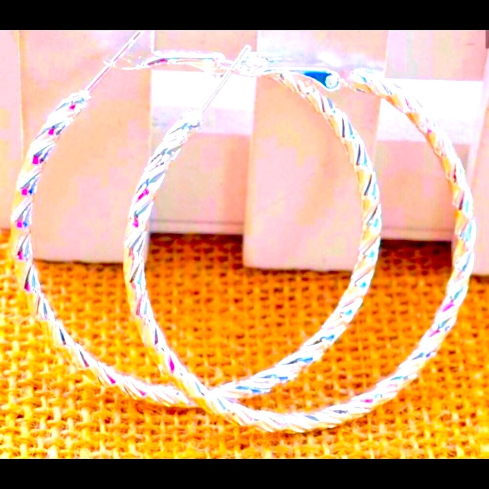 Elegant Silver Hoop Earrings